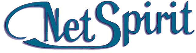 Netspirit logotyp